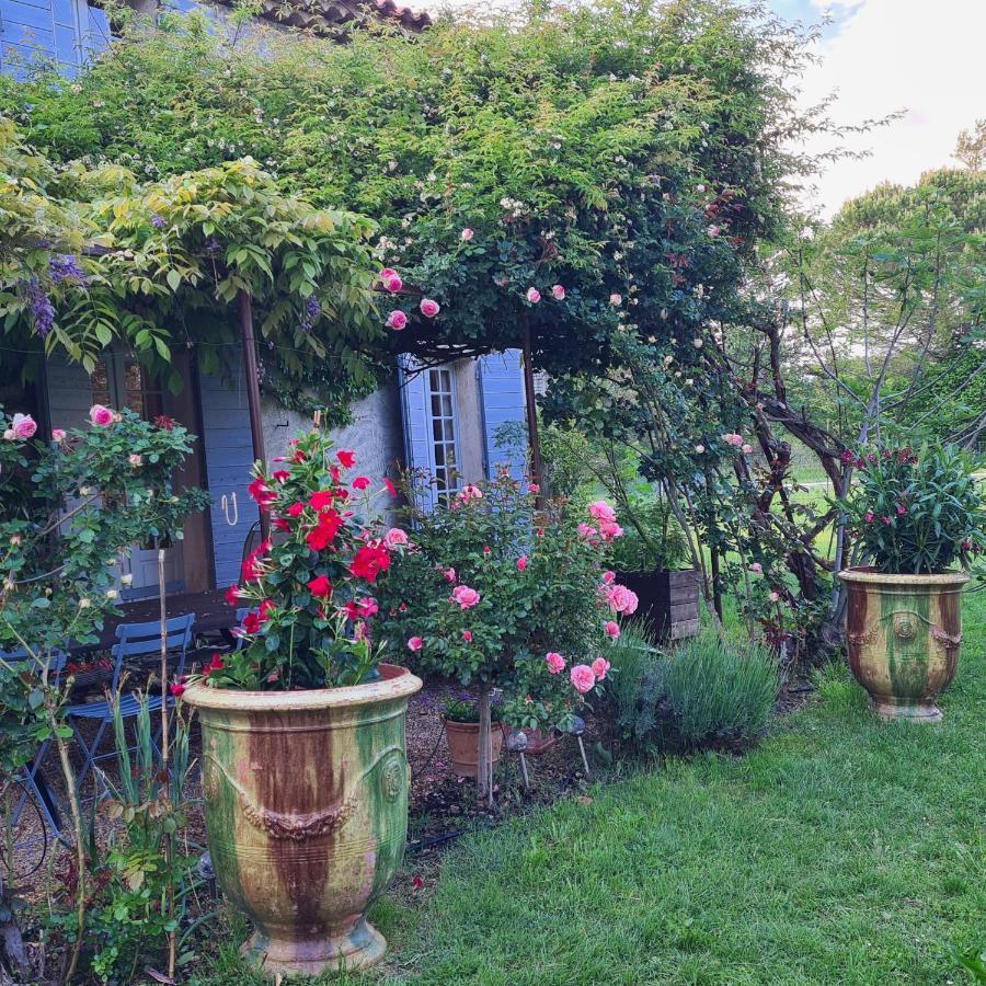 Le Mas Des Pins Mane (Alpes-de-Haute-Provence) Exterior foto