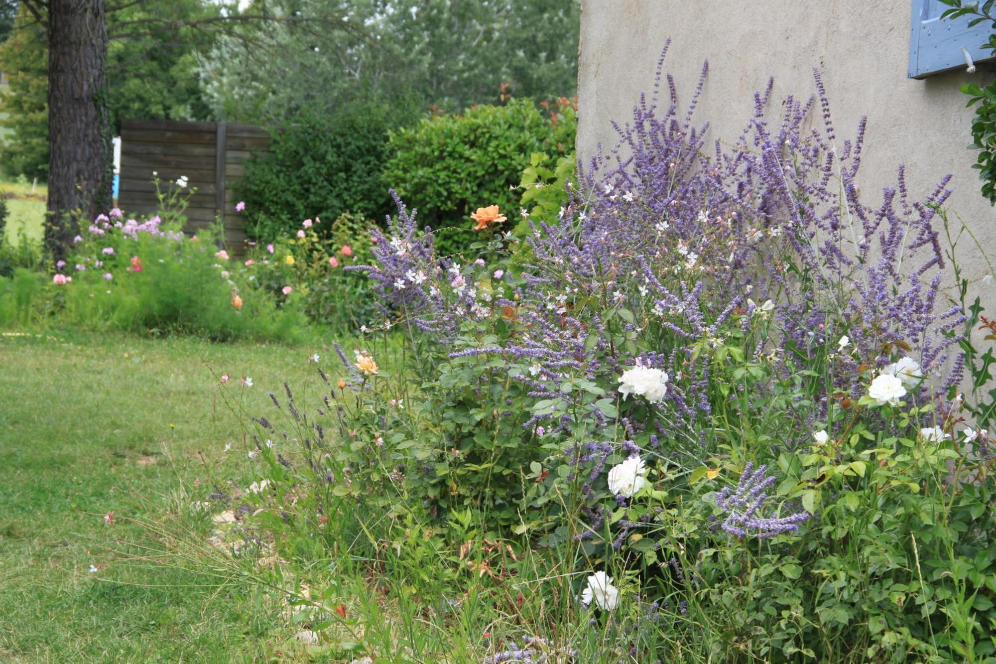 Le Mas Des Pins Mane (Alpes-de-Haute-Provence) Exterior foto