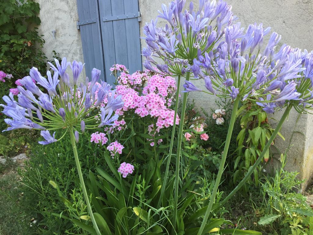 Le Mas Des Pins Mane (Alpes-de-Haute-Provence) Exterior foto