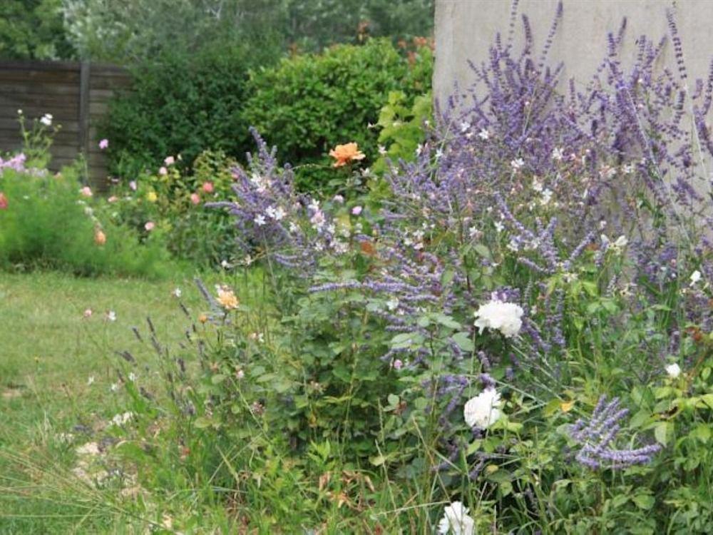 Le Mas Des Pins Mane (Alpes-de-Haute-Provence) Exterior foto